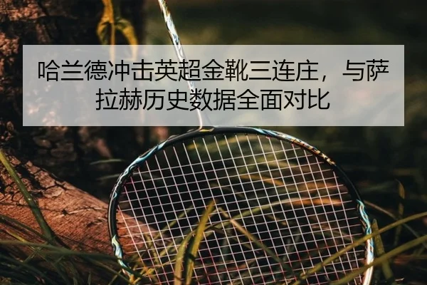 ha-lan-de-chong-ji-ying-chao-jin-xue-san-lian-zhuang-yu-sa-la-he-li-shi-shu-ju-quan-mian-dui-bi-2-427.jpg
