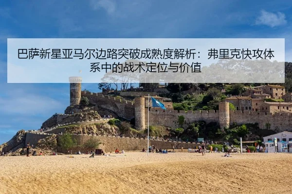 ba-sa-xin-xing-ya-ma-er-bian-lu-tu-po-cheng-shu-du-jie-xi-fu-li-ke-kuai-gong-ti-xi-zhong-de-zhan-shu-ding-wei-yu-jia-zhi-2-698.jpg