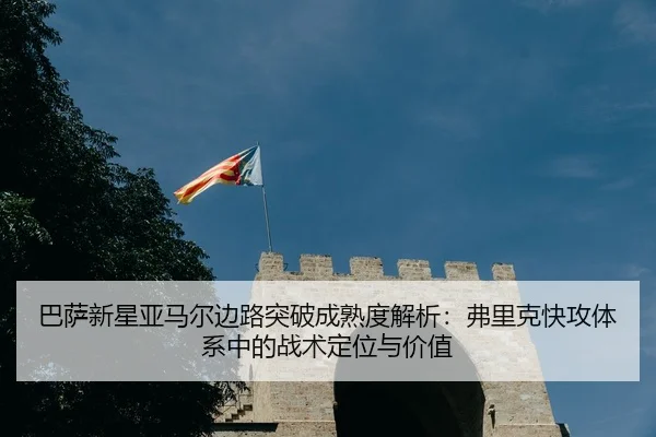ba-sa-xin-xing-ya-ma-er-bian-lu-tu-po-cheng-shu-du-jie-xi-fu-li-ke-kuai-gong-ti-xi-zhong-de-zhan-shu-ding-wei-yu-jia-zhi-3-860.jpg
