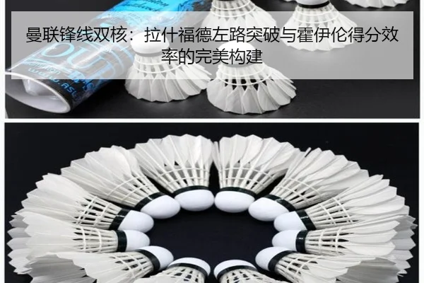 man-lian-feng-xian-shuang-he-la-shen-fu-de-zuo-lu-tu-po-yu-huo-yi-lun-de-fen-xiao-lv-de-wan-mei-gou-jian-2-350.jpg