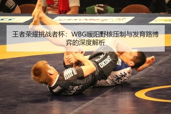 王者荣耀挑战者杯：WBG暖阳野核压制与发育路博弈的深度解析